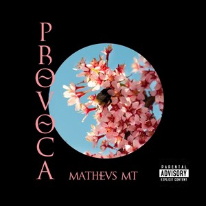 PROVOCA (Explicit)