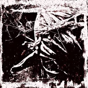 They Laughed As I Bled , I’ll Carve The Joy From Their Throat