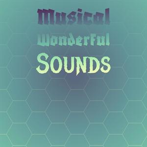 Musical Wonderful Sounds