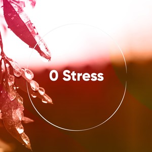 Rain Falling in Buckets