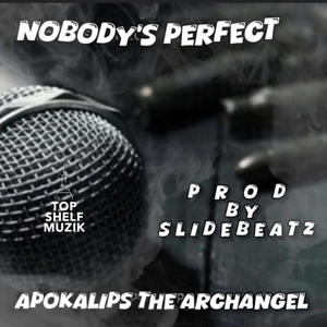 NOBODY'S PERFECT (Explicit)
