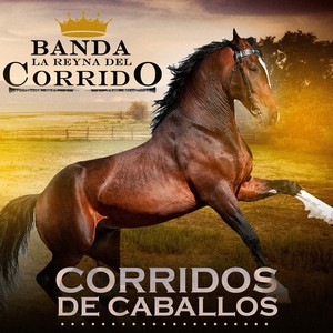 Corridos De Caballos