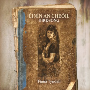 Fear a Bháta (feat. Brendan Hayes & Fergal Scahill)