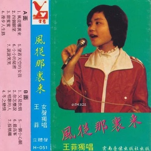 你怎么说 - 王菲封面