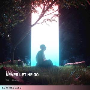 Never Let Me Go (Radio Edit)