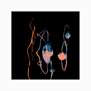 山楂树之恋 (Remix)