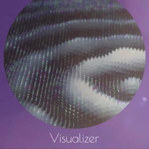 Visualizer