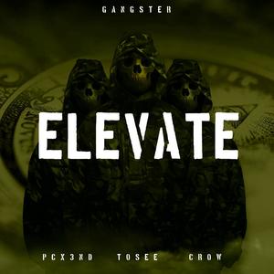 Elevate