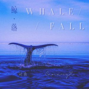 WhaleFall 鲸落