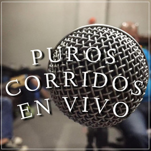 Puros Corridos En Vivo