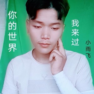 你的世界我来过