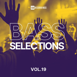 Bass Selections, Vol. 19 (Explicit)