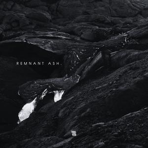 Remnant Ash