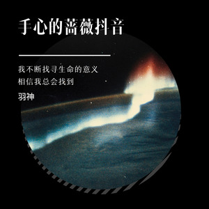 手心的蔷薇抖音