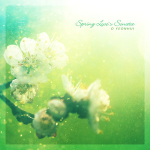 봄비의 연가 (Spring Love`s Sonata)