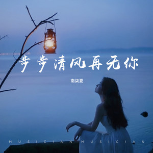 步步清风再无你