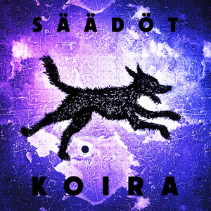 Koira