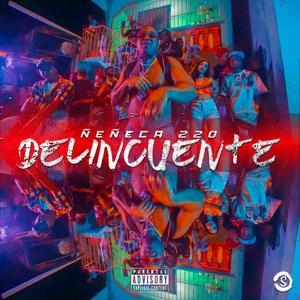 Delincuente (feat. El De La S)