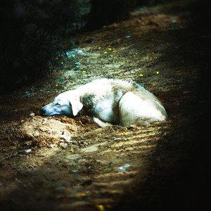 a memory of the ocean breeze