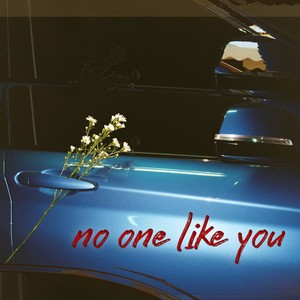 No One Like You