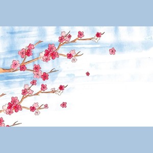 樱花瓣