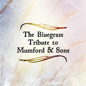 Bluegrass Tribute to Mumford & Sons