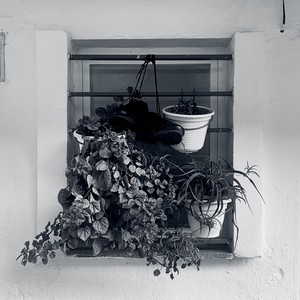 2007 (Explicit)