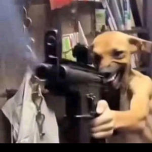 #letitrock (Explicit)