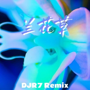 兰花草 (DJR7版)封面