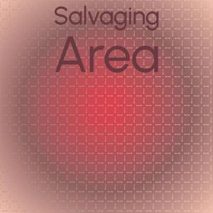 Salvaging Area