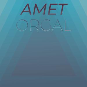 Amet Orgal