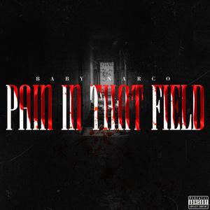 Pain In That Field (Explicit)