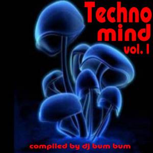 Techno Mind Vol. 1