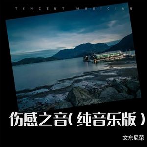 文东尼荣 - 伤感之音 (纯音乐版)