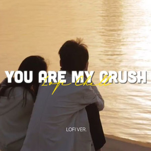 You Are My Crush (Lofi)