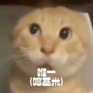 唯一（哈基米）-秃头少女