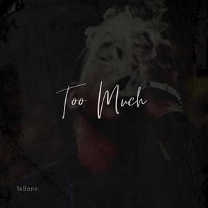 Too Much (Explicit)