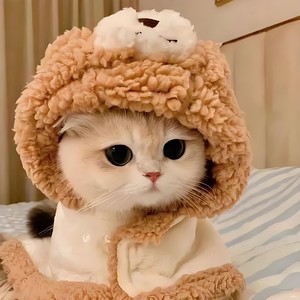 你是坏坏的丫头incl