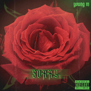 SORRY (Explicit)