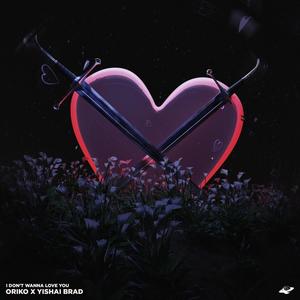 I Don't Wanna Love You