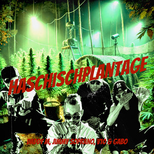 Haschischplantage (Explicit)