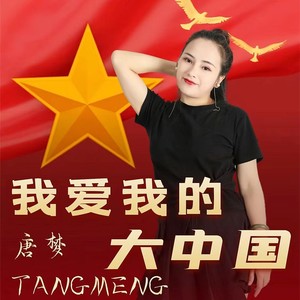 我爱你我的大中国 (DJ佐罗)