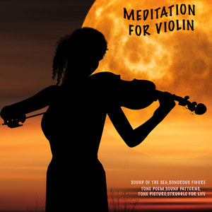 Struggle for Life-Soundshifts - Meditation for Violin