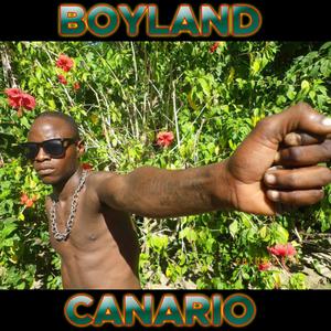 Boyland Canario, Vol. 1