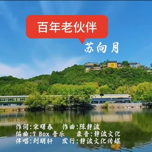 百年老伙伴 (伴奏)