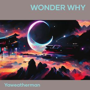 Wonder Why (Explicit)