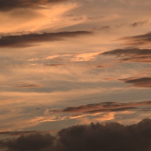 让我在南屏街撒点野
