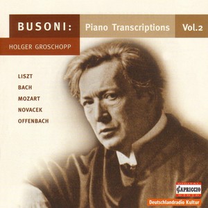 Piano Recital: Groschopp, Holger (Busoni Paraphrases and Transcriptions for Piano, Vol. 2)