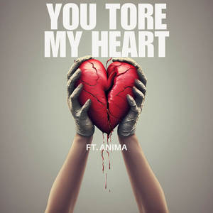 You Tore My Heart (feat. Anima)