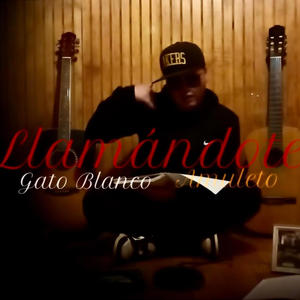 Llamandote (feat. chexo oficial)